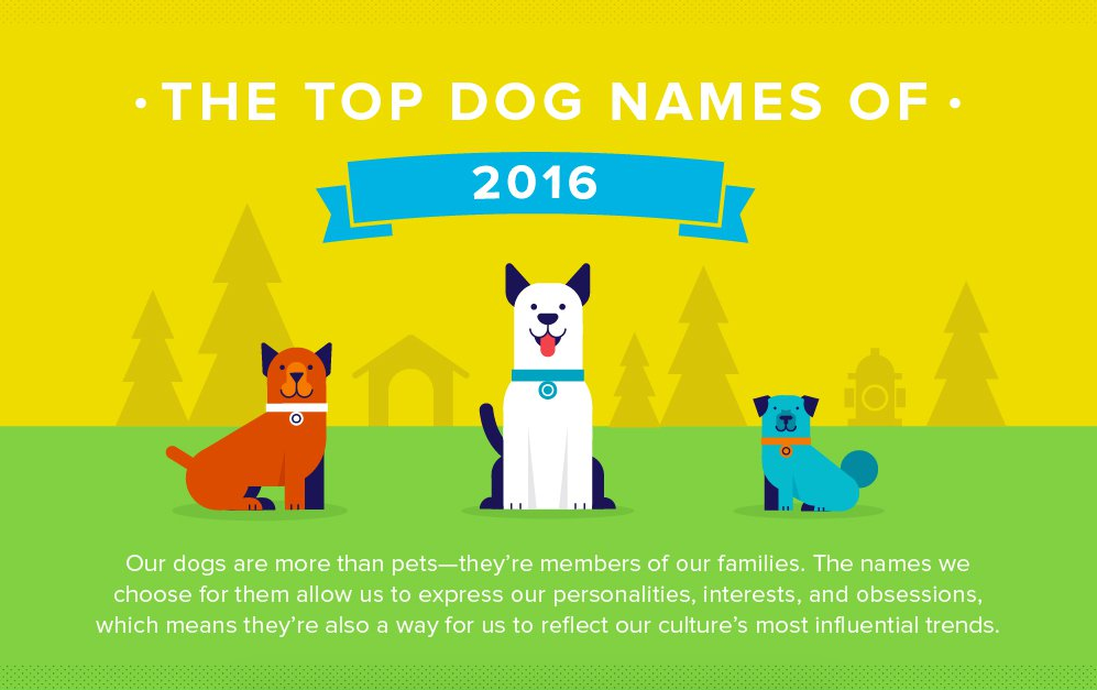 Top dog names infographic header.