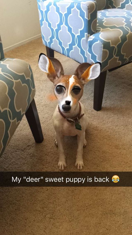 Dog snapchat deer filter